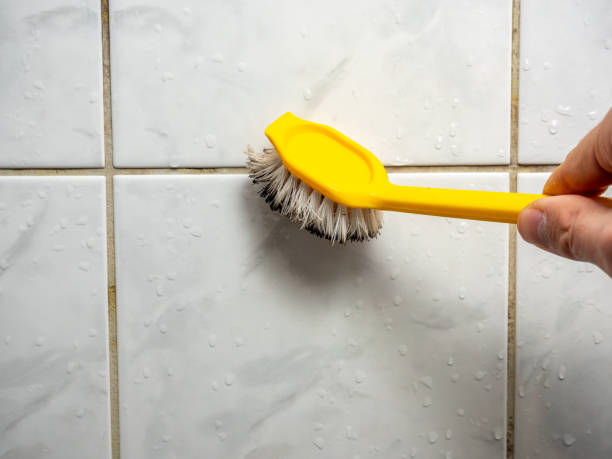 Home Mold Removal in Hyde Park, UT