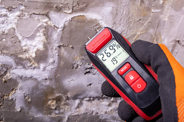 Best Crawl Space Mold Removal  in Hyde Park, UT