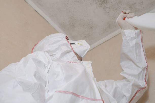Best Mold Testing  in Hyde Park, UT