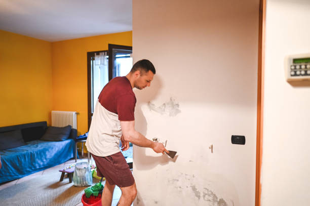 Reliable Hyde Park, UT Mold Removal Solutions